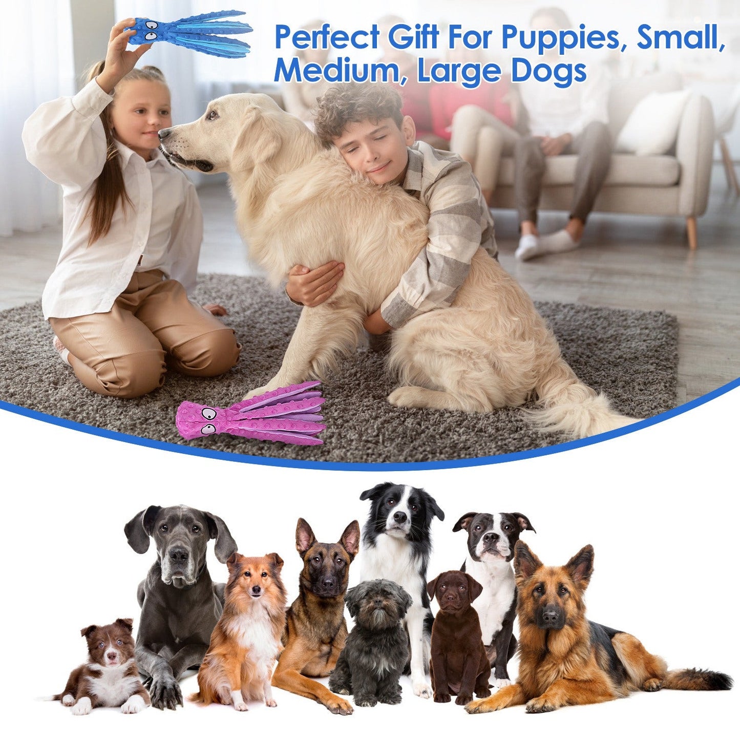 GBruno 2-Piece Squeaky Dog Toy Set
