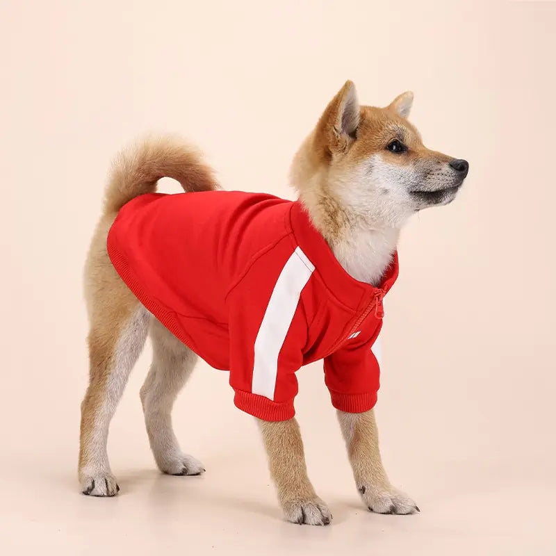 Hoodie de luxe pour chien d'hiver