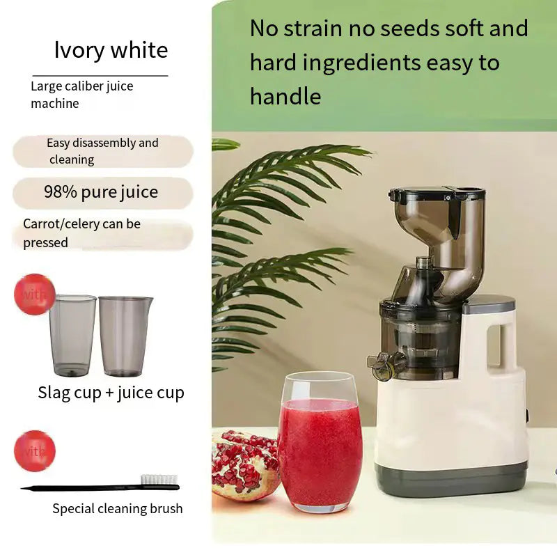 Machine à jus automatique à haute extraction pour un usage domestique