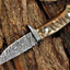 Artisan Crafted Damascus Steel Skinning Knife with Sheep Horn Handle - 8-Inch Blade and Leather Sheath for Hunters - Korvel