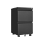 Metal 2 drawer mobile file cabinet with lock, 25.6-inch high legal/letter size file storage cabinet  black - Korvel