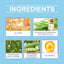 Day And Night Acne Cover Face Acne Patch Comfortably Repair Skin Oil Control Cover Acne Patch - Korvel