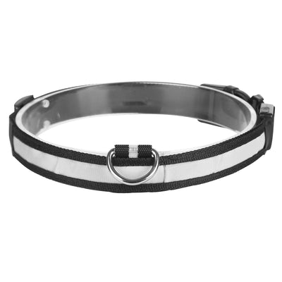 GBruno LED Dog Collar - High Visibility Safety