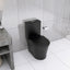 Matte Black Elongated One Piece Toilet Dual Flush 1.1/1.6 GPF Water Saving Map 1000g,Matte Black - Korvel