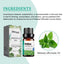 Melissa Officinalis Essential Oil, Moisturizing Massage Skin Body Care Improve Memory Melissa Officinalis Essence - Korvel