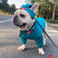 HYGGEPET Stylish Pet Hoodie Set for Dogs