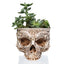 New Resin Plant Grass Skull Flowerpot Creative Indoor Skull Shape Potted Skeleton Craft Ornaments - Korvel