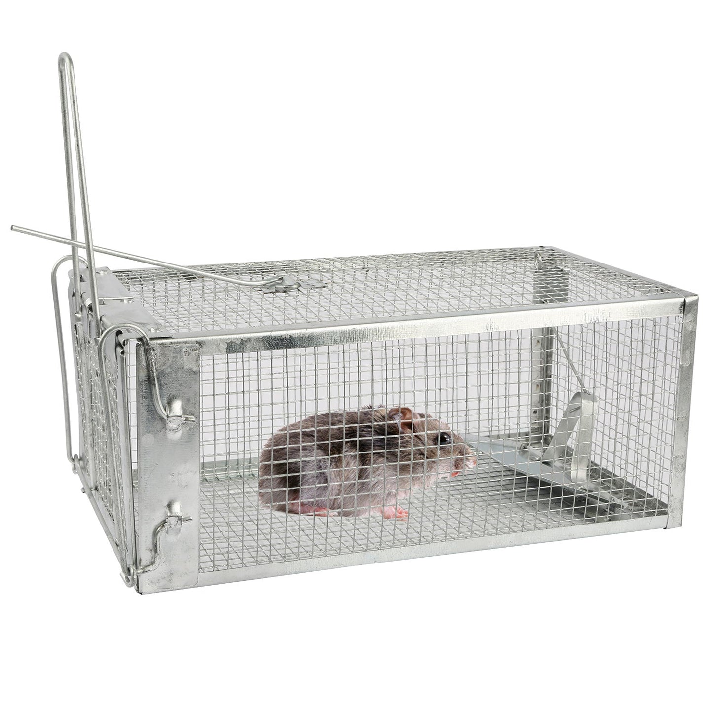 GBruno Humane Rat Trap Cage