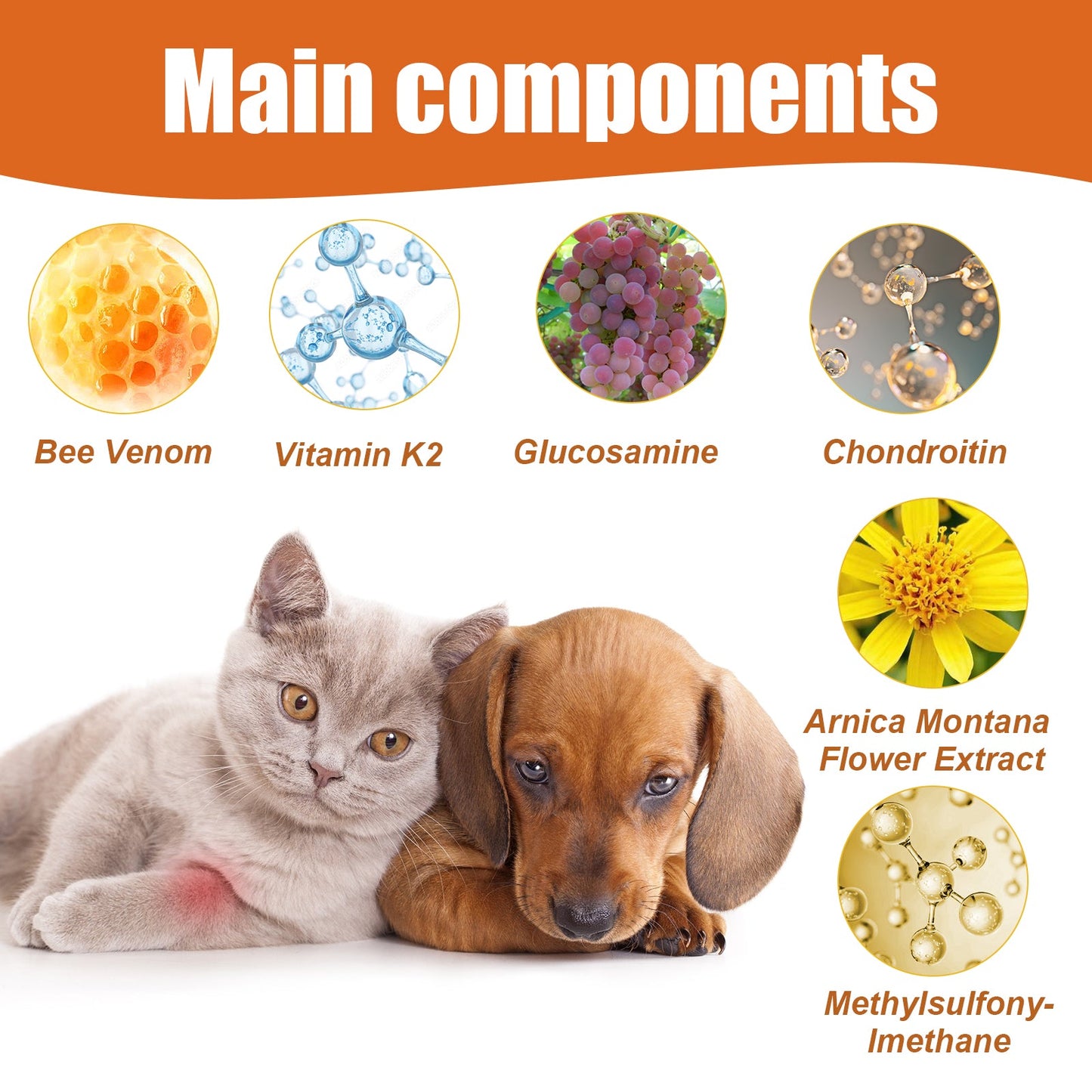 Pet Bee Venom Oil, Joint Care For Cats And Dogs Relieves Joint Pain For Pets Pet Care Water - Korvel