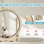 Indoor cat treadmill with carpet, tear device and latch natural wood, 39.4 inches long x 13.2 inches wide x 41.3 inches high - Korvel