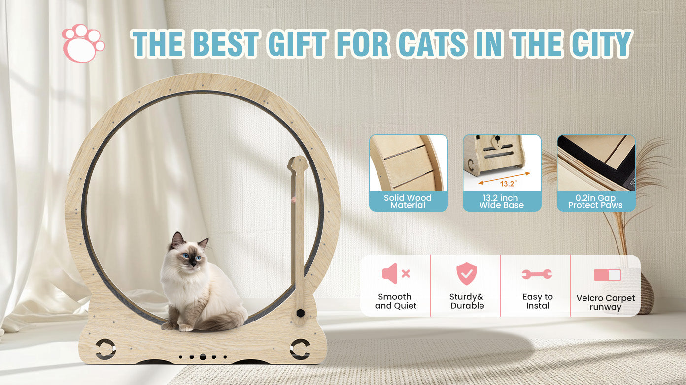 Indoor cat treadmill with carpet, tear device and latch natural wood, 39.4 inches long x 13.2 inches wide x 41.3 inches high - Korvel