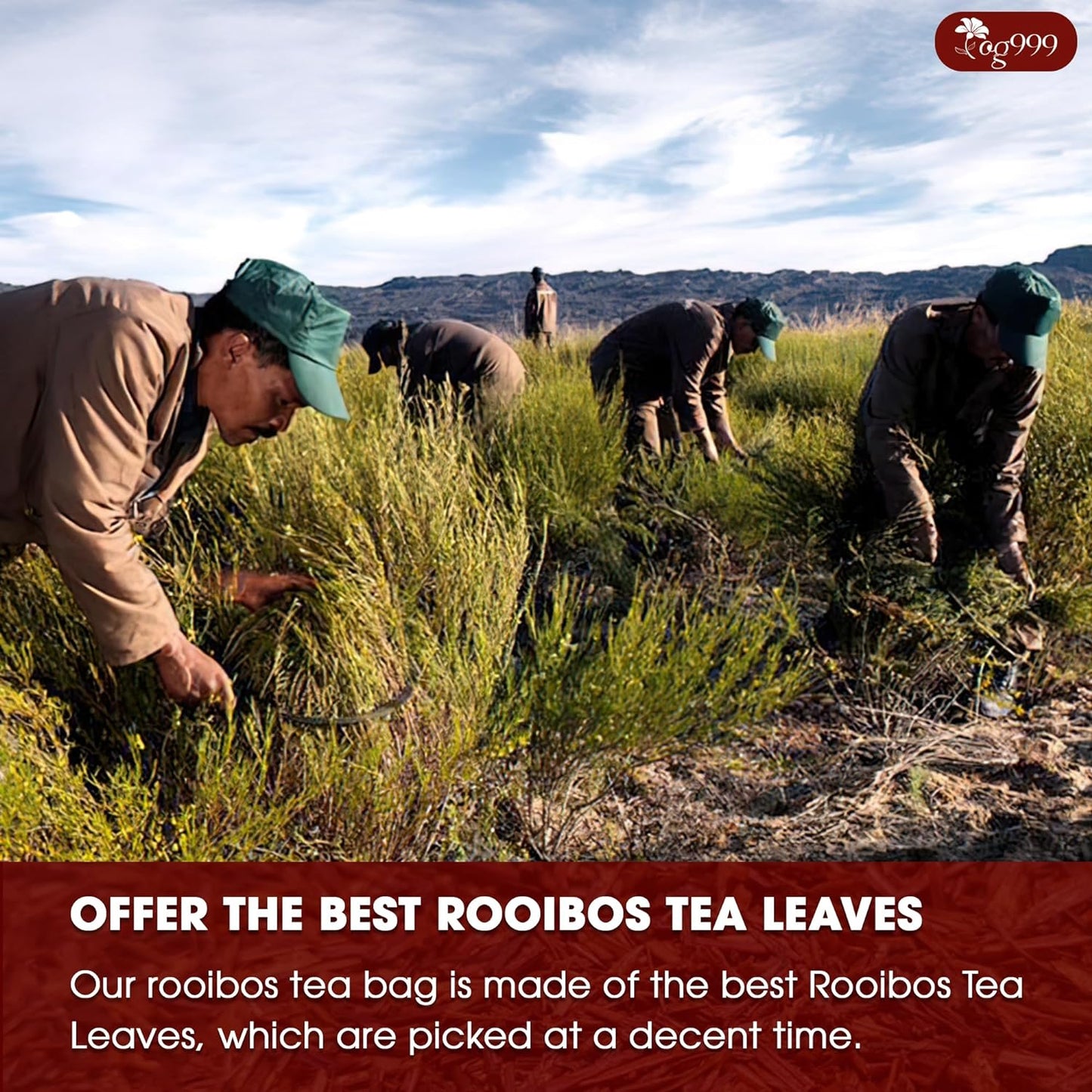 Premium Red Rooibos Tea Bags - 100% Natural & Pure