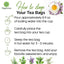 Bolsitas de té de raíz de regaliz premium, 100 % natural, raíz de regaliz pura, bolsitas de té ecológicas, infusión de raíz de regaliz. Sin azúcar, sin cafeína, sin gluten, vegano. 