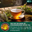 StrongerLungs Tea Bags - Supports Lung Cleanse, Congestion Relief & Mucus Detox - Korvel
