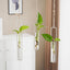Jarrón Hidropónico de Vidrio Estilo Escandinavo para Decoración Creativa