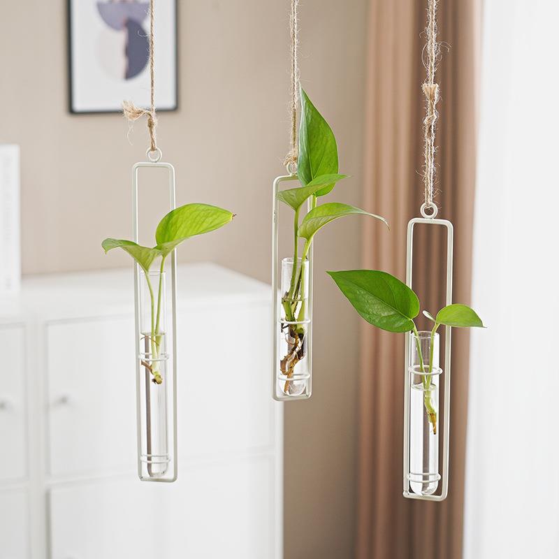 Jarrón Hidropónico de Vidrio Estilo Escandinavo para Decoración Creativa