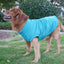 Pull pour animaux de compagnie haut de gamme pour grandes races - Collection hiver