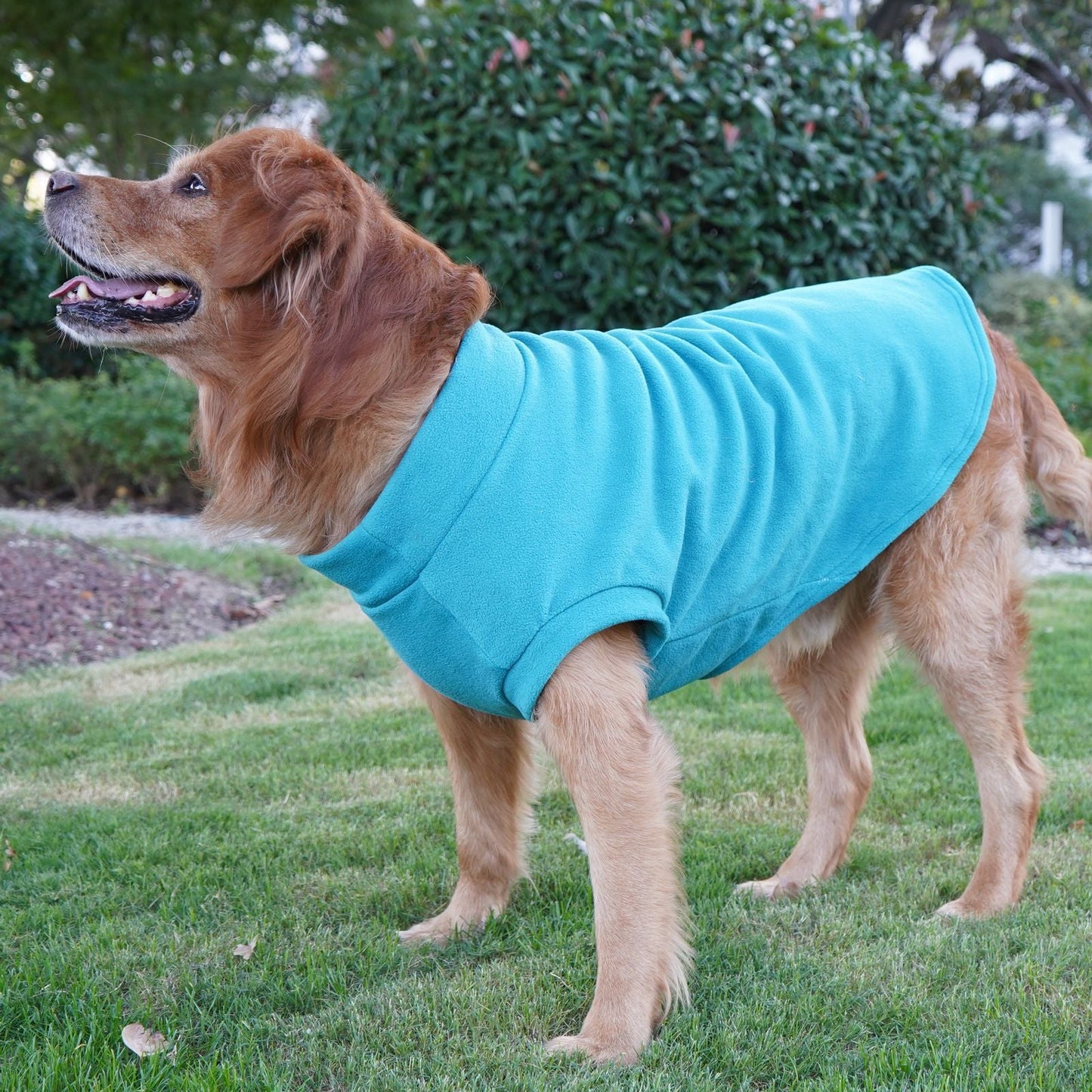 Pull pour animaux de compagnie haut de gamme pour grandes races - Collection hiver