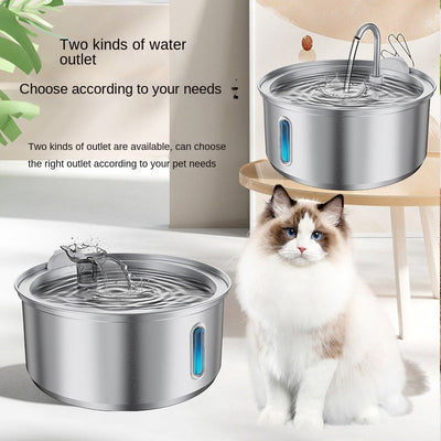 4L Stainless Steel Pet Water Dispenser with Viewing Window