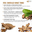 100% Natural Burdock Root Tea Bags - Vegan & Caffeine-Free