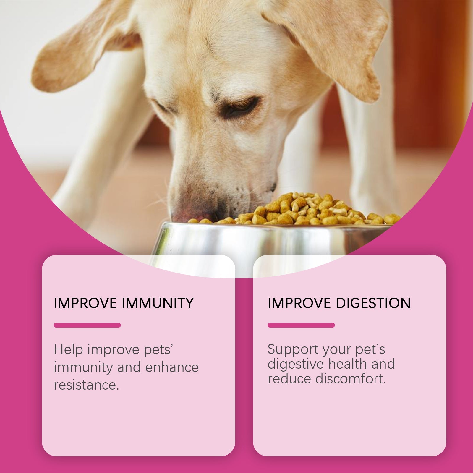 Dog Probiotic Tablets To Improve Intestinal Health, Balance Digestion And Absorption Of Pet Nutritional Supplements - Korvel