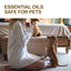 Pet Care Oil, Relieve The Pain Of Pet Bones And Joints Body Muscle Care Essential Oil - Korvel