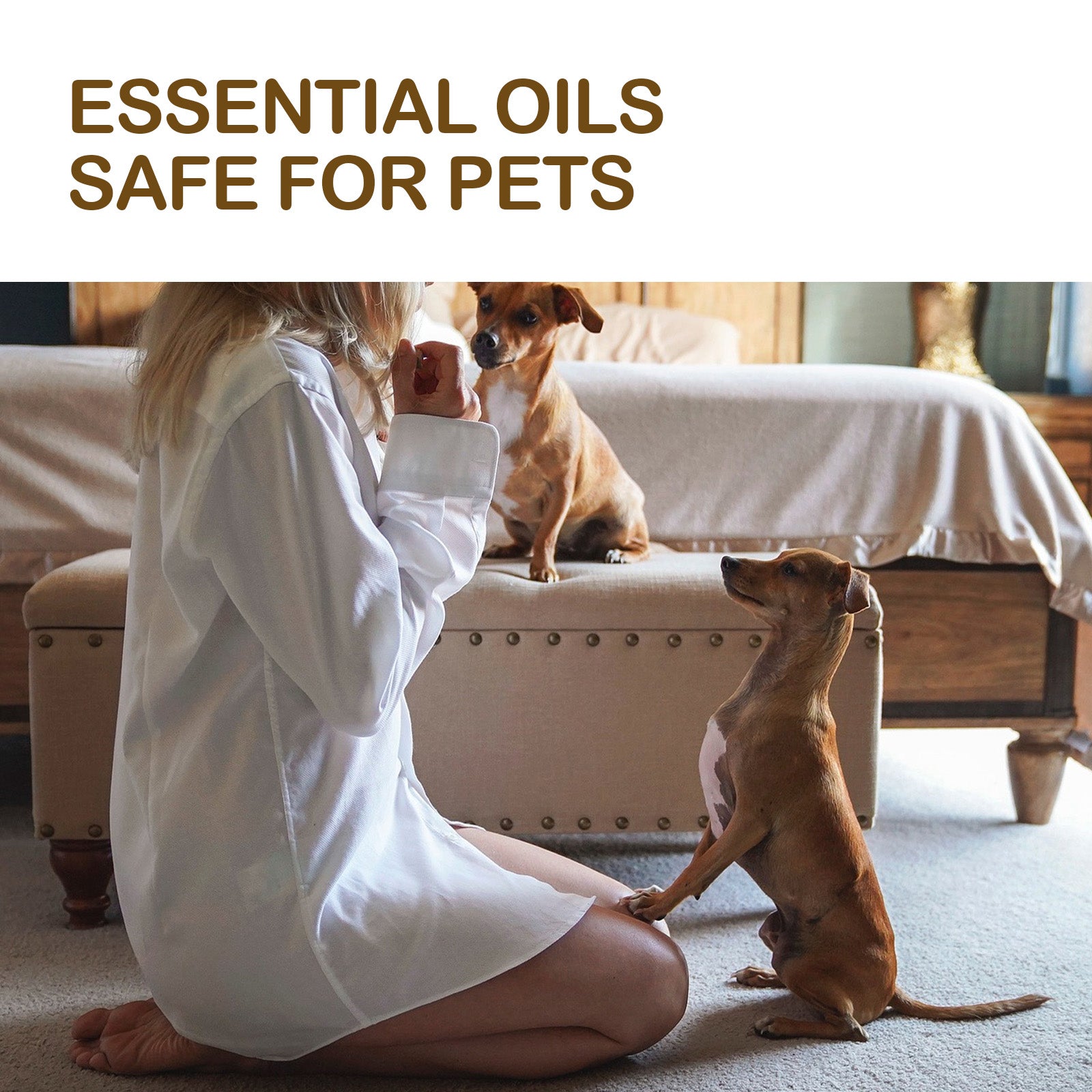 Pet Care Oil, Relieve The Pain Of Pet Bones And Joints Body Muscle Care Essential Oil - Korvel