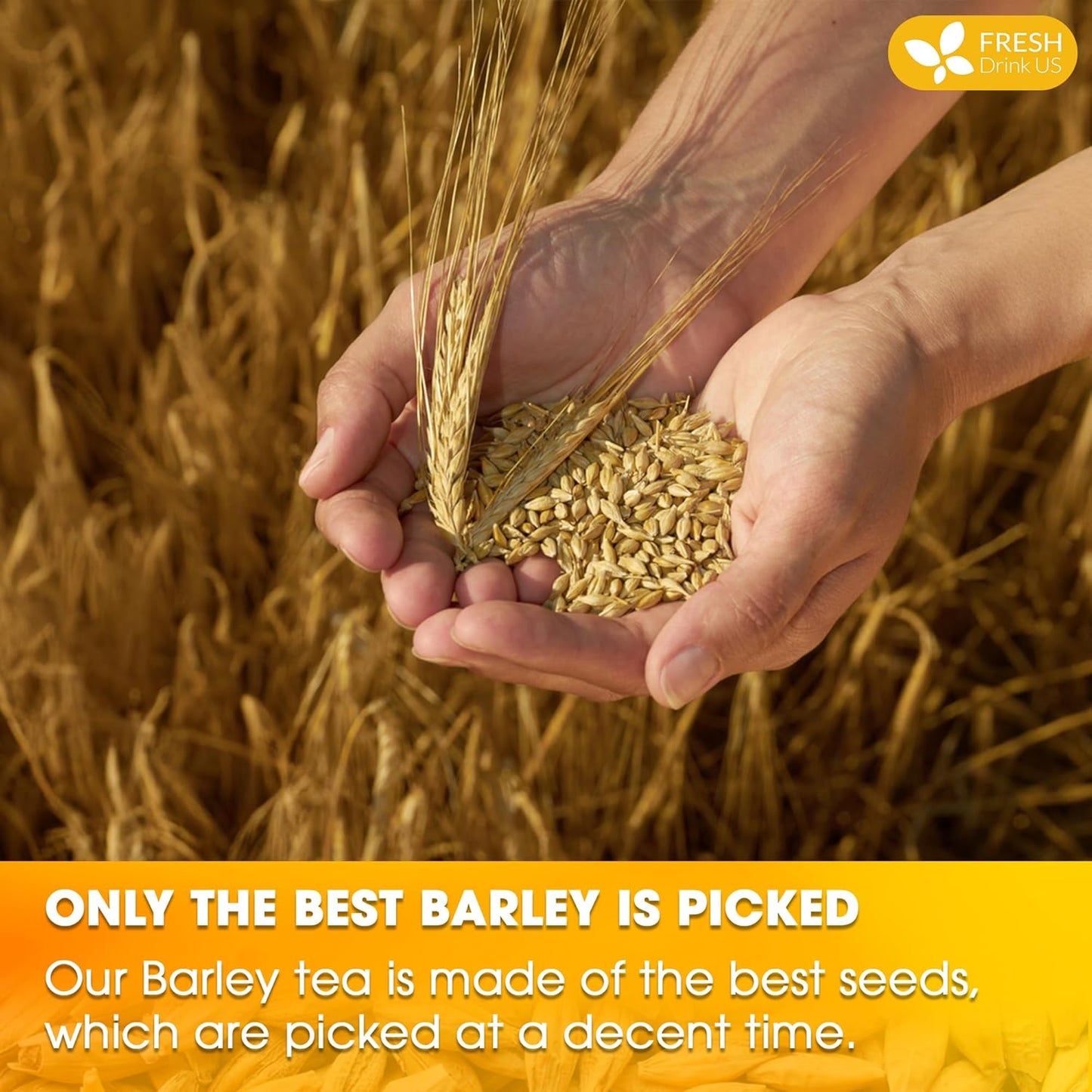 Premium Natural Barley Tea Bags - 100% Pure & Caffeine-Free