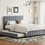 Queen Size Velvet Upholstered Platform Bed with 2 Drawers and 1 Twin XL Trundle- Gray - Korvel