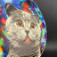 Fuzion Escape - DyeMax - Space Kitty Trippin Disque de Golf