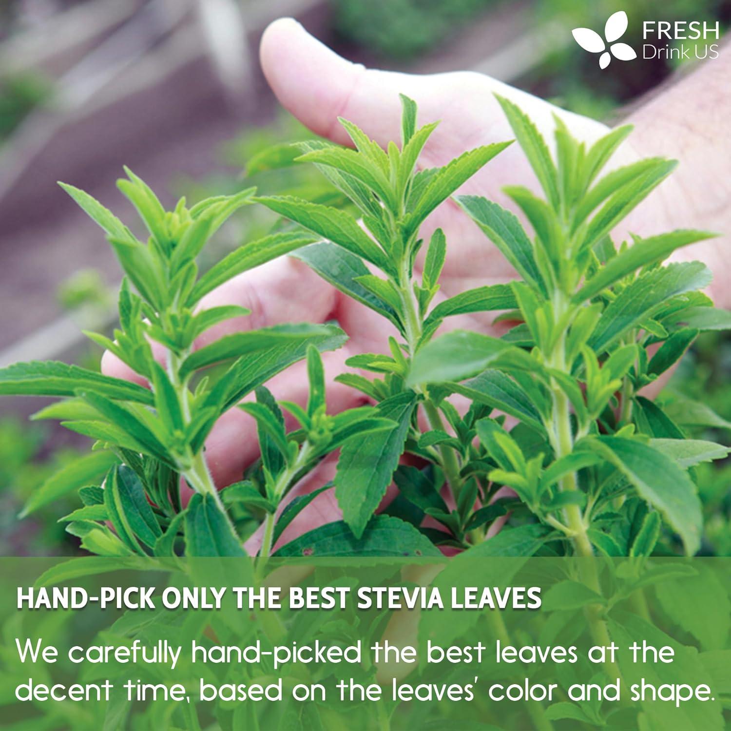 Stevia Leaf, Whole Dried Leaves, Tea Bags, Powder, 100% Natural and Pure from Stevia Leaves. Sugar Substitute for Tea, Coffee. Loose Leaf Stevia Herbal Tea. Zero Calorie Sweetener. No Sugar, No Caffeine, No Gluten, Vegan. - Korvel