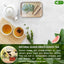 Bolsitas de té de hoja de guayaba premium 
