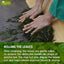Premium Sencha Green Tea Bags - 100% Natural & Pure