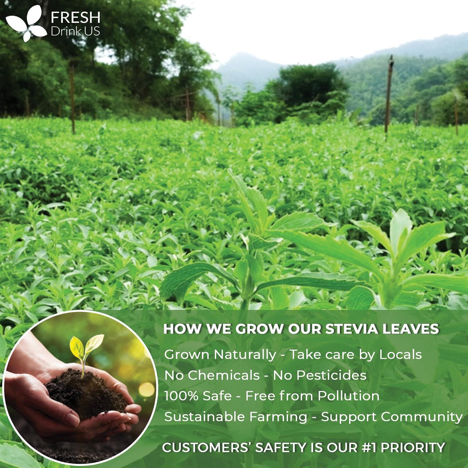 Stevia Leaf, Whole Dried Leaves, Tea Bags, Powder, 100% Natural and Pure from Stevia Leaves. Sugar Substitute for Tea, Coffee. Loose Leaf Stevia Herbal Tea. Zero Calorie Sweetener. No Sugar, No Caffeine, No Gluten, Vegan. - Korvel