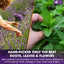Premium Lavender Mint Tea Bags - 100% Natural Herbal Blend