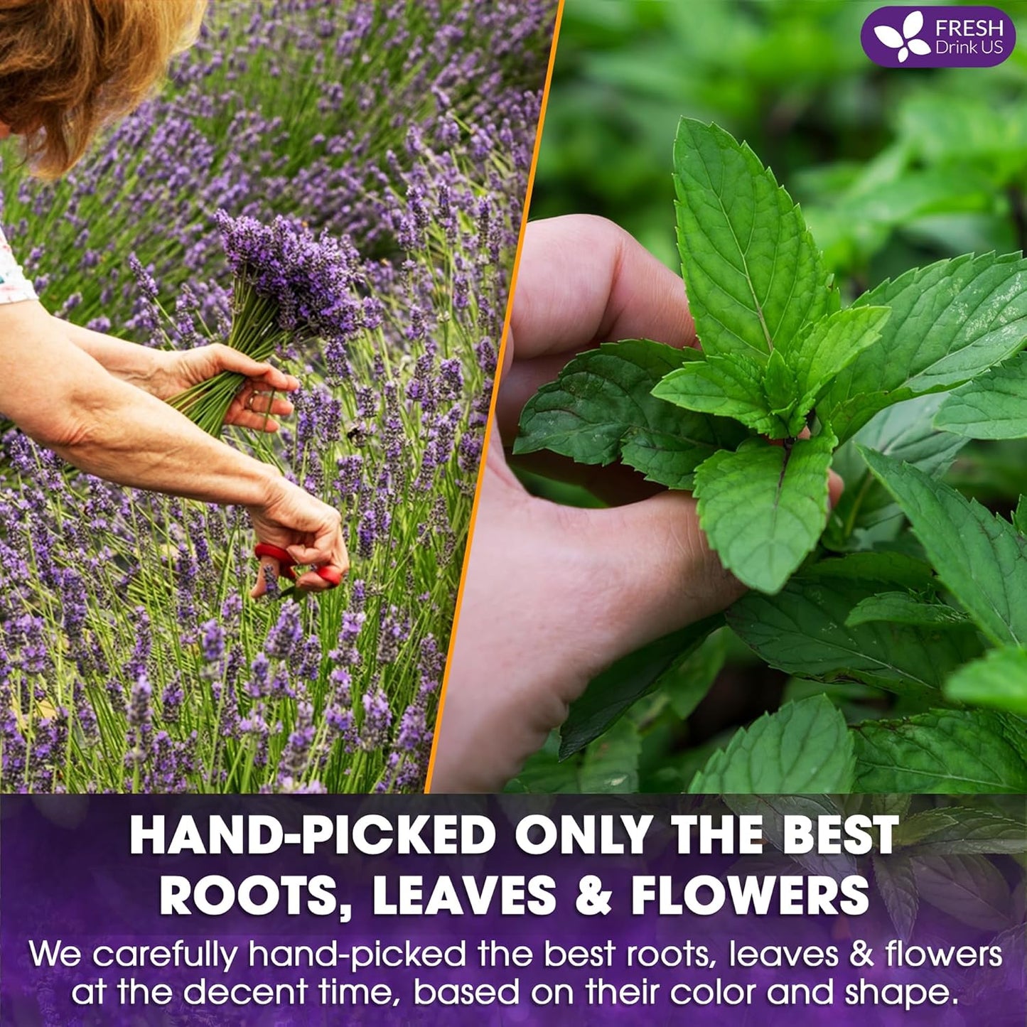 Premium Lavender Mint Tea Bags - 100% Natural Herbal Blend