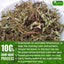 Dried Chanca Piedra Leaves - Premium Tea Bags
