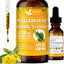 Mullein Drops for Lungs Cleanse Support, Mullein Extract Liquid – 100% from Natural Mullein Leaves, Non-GMO, Gluten-Free - Korvel