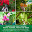 Premium Herbal Tea Blend for Refreshing Cleansing