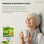 Bolsitas de té de hojas de guanábana premium, hojas de guanábana secas, polvo de hojas de guanábana, té de hojas de guanábana, té de hoja guanábana