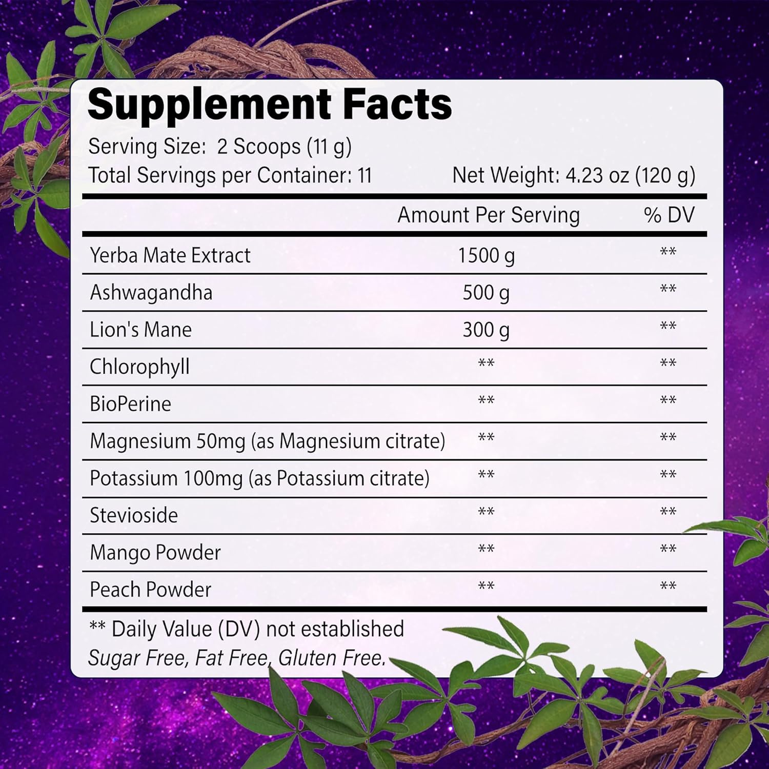 Yerba Mate Instant Tea Powder | Superfood Energy & Focus Blend - Korvel