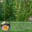Premium Rosemary Leaf Tea Bags - 100% Natural & Pure