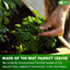 Premium Parsley Leaf Tea Bags - 100% Natural & Pure