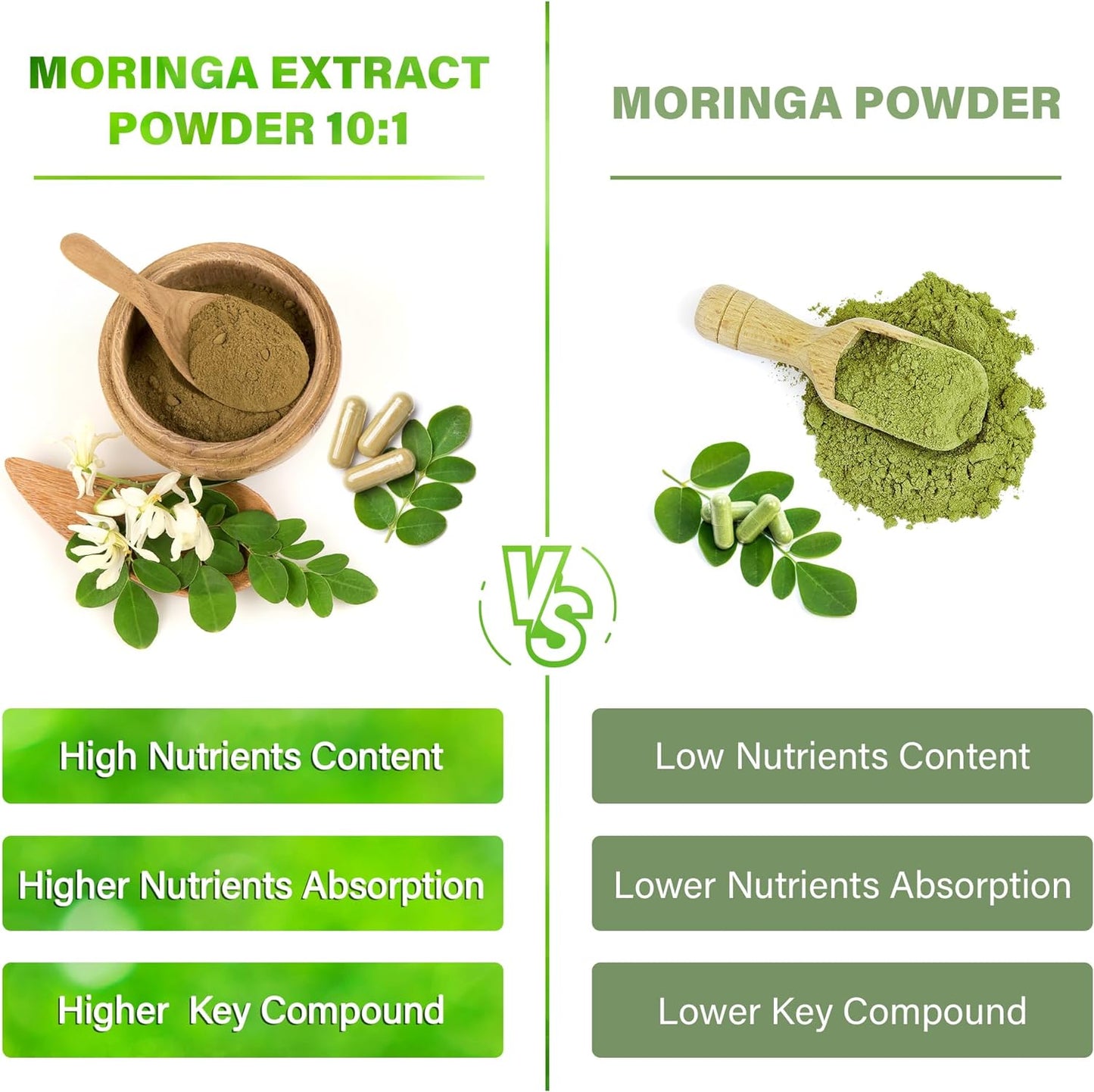 Moringa Capsules|300 Capsules|Moringa Oleifera|10,000mg - Korvel