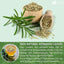 Premium Rosemary Leaf Tea Bags - 100% Natural & Pure