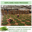 Lemongrass Tea Bags, 100% Natural & Pure Lemongrass leaves, Eco-Conscious Tea Bags, Lemongrass Herbal Tea. Lemongrass Leaf Tea. No Sugar, No Caffeine, No Gluten, Vegan. - Korvel