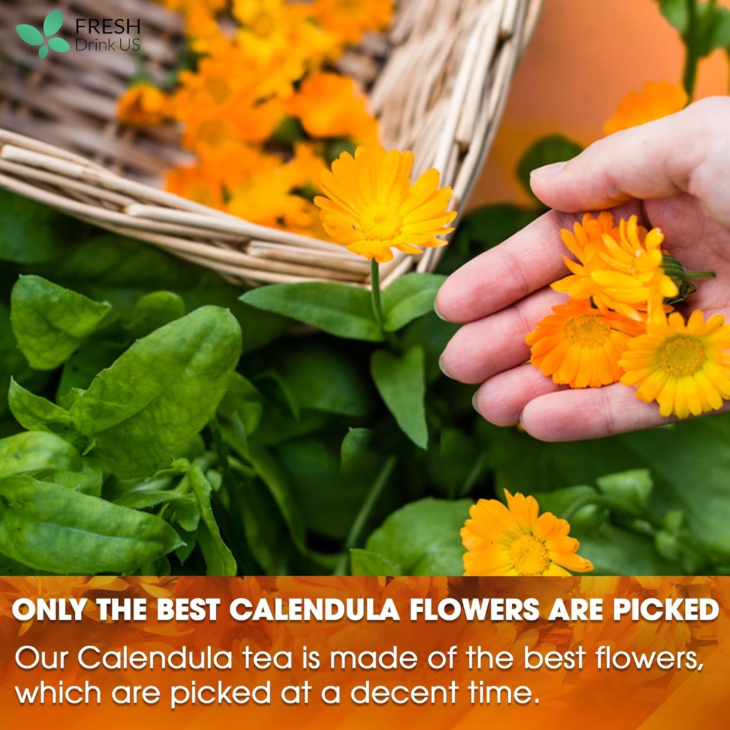 Bolsitas de té de caléndula, flores de caléndula 100 % naturales y puras, ecológicas. Infusión de caléndula. Sin azúcar, sin cafeína, sin gluten, vegana. 