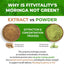 Moringa Capsules|300 Capsules|Moringa Oleifera|10,000mg - Korvel