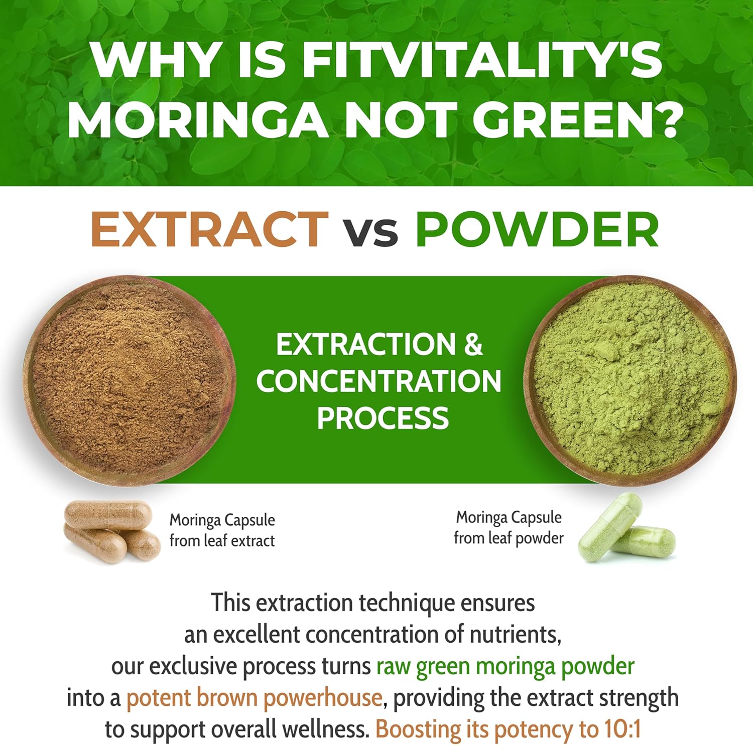 Moringa Capsules|300 Capsules|Moringa Oleifera|10,000mg - Korvel