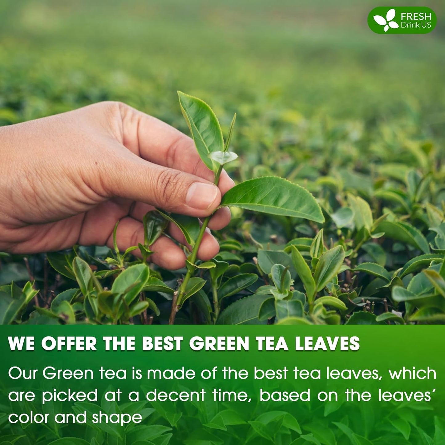 Bolsitas de té verde premium, 100 % natural y puro. Té verde de hierbas. Sin azúcar, sin gluten, vegano. 